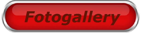 btn Fotogallery