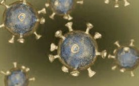 Coronavirus 2