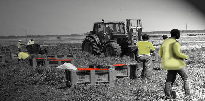 lavoro nero