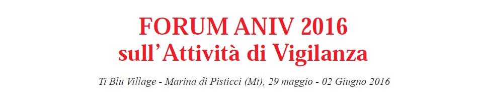 Forum 2013 intestazione