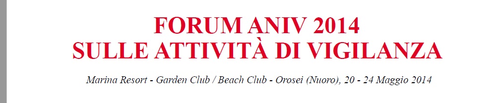 Forum 2013 intestazione