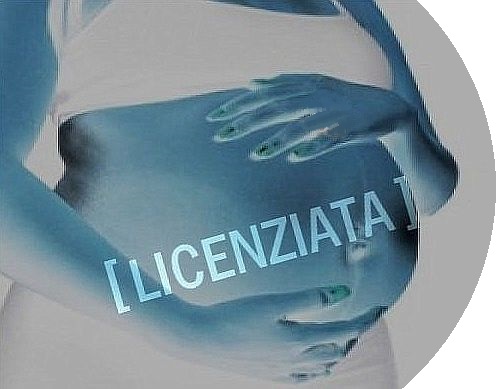gravida licenziata